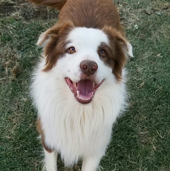 Meet your Posher, Paige - Picture 1 of 1